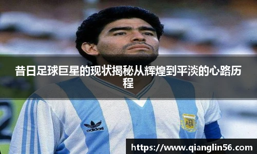 昔日足球巨星的现状揭秘从辉煌到平淡的心路历程